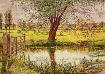 Vattenäng, 1865